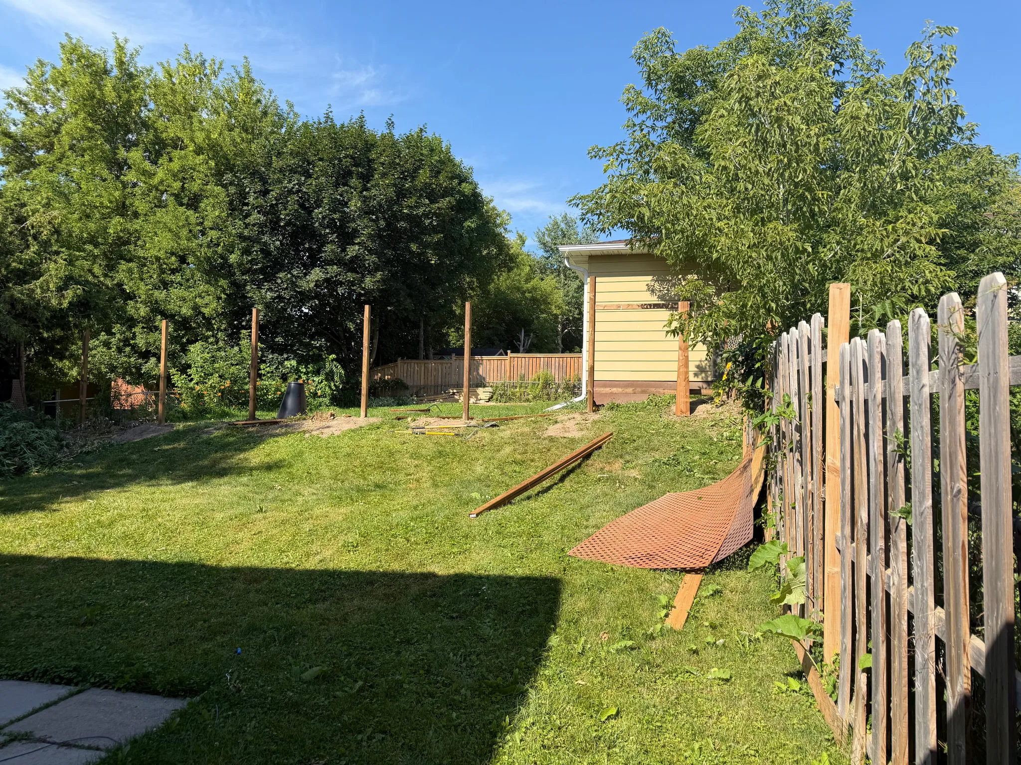 Backyard fence posts before new boards were installed